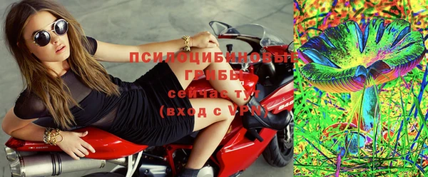 МДПВ Инсар