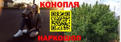 крисы Нягань