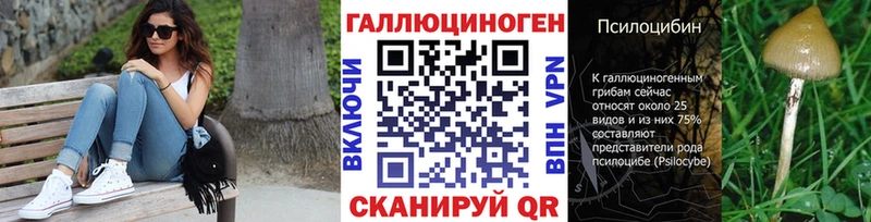 Псилоцибиновые грибы Psilocybine cubensis  Сердобск 